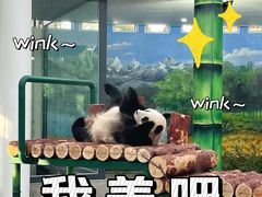 -天津市动物园