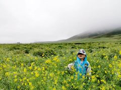 -扁都口生态休闲旅游区