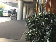 -西安阿房宫维景国际大酒店