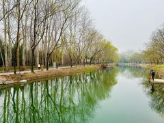 -北坞公园