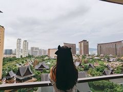 -三亚湾红树林度假世界(木棉酒店)