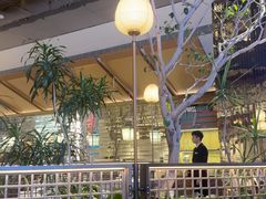 -桂满陇·海市蜃楼·黑金(国金店)