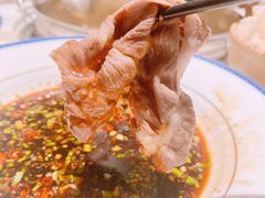 -汤城·料青山