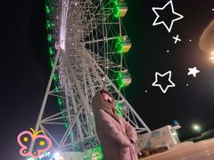 -琴岛之星摩天轮