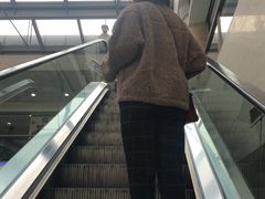 -上海中医药大学附属曙光医院(东部)