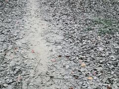 -蜀冈西峰生态公园