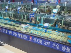 -小红鲸·海鲜餐厅(轸大路店)