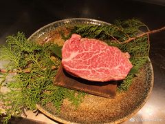 -活伊势龙虾料理 中纳言(千日前味乐馆店)