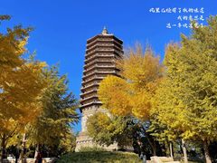 -玲珑塔公园