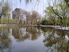-玲珑塔公园