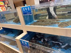 -双井轩(双井店)