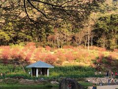 -广州市石门国家森林公园