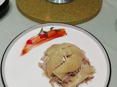 -蝶园·装修中(BFC外滩金融中心店)