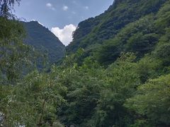 -沣峪口