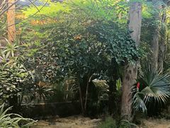 -时间仓(月湖公园店)