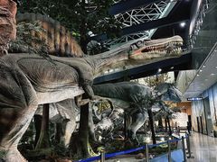 -湖南省地质博物馆