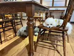 -沏点Trattoria意大利餐厅(新街口店)