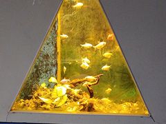 -嘉兴海底世界