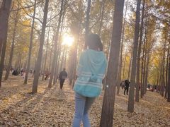 -汉景帝阳陵博物院