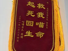 -嘉馨宠物医院·CT影像转诊·心脏科·犬猫全科诊疗中心(下沙大学城院区)