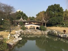 -苏州吴宫泛太平洋酒店