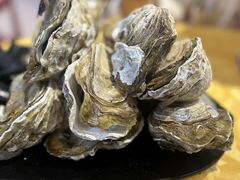 至尊桑拿蚝-天宝食坊·啫啫煲大排档(西华路店)