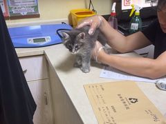 -义乌市派和宠物医院(贝村诊所)