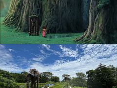 -三鹰之森吉卜力美术馆