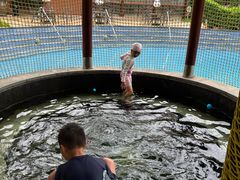 -惠州金海湾嘉华度假酒店