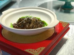 肝油辽参-松云泽
