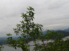 -千岛湖天屿景区