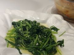 -华膳楼·安徽地标美食·中华餐饮名店(文化公园店)