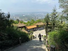 -铁山坪森林公园