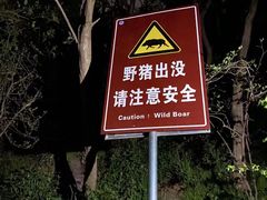 -紫金山山顶公园