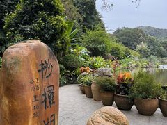 -深圳仙湖植物园