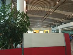 -常州奔牛国际机场