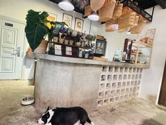 -自由生长植物工作室(深港花卉中心店)