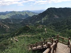 -大岭沟猕猴桃谷风景区