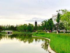 -西海子公园