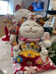 -金夫人One家全家福摄影(光环店)