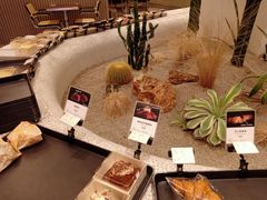 -OUR Bakery(SKP-S店)