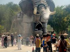 -西双版纳原始森林公园