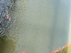 -平望服务区·停车场