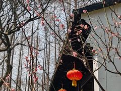 -上海方塔园