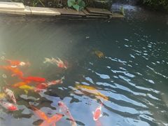 -千滋百味·醉江澜花园餐厅(街道口店)