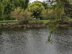 -范蠡湖公园