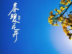 -中国天府农业博览园