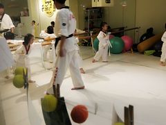 -勇气斑马·巴西柔术&跆拳道(浦东三林店)