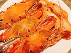 -安蒂娅·海鲜自助餐厅(安蒂娅美兰酒店)