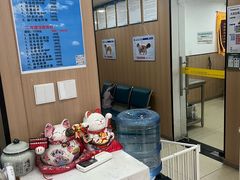 -米苏动物医院·犬猫专科·骨科外科内窥镜